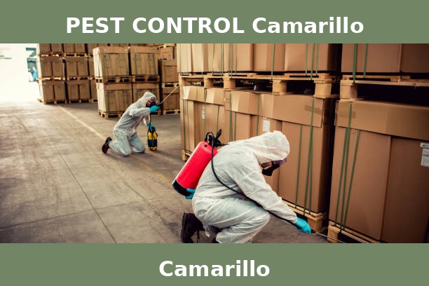 PEST CONTROL Camarillo